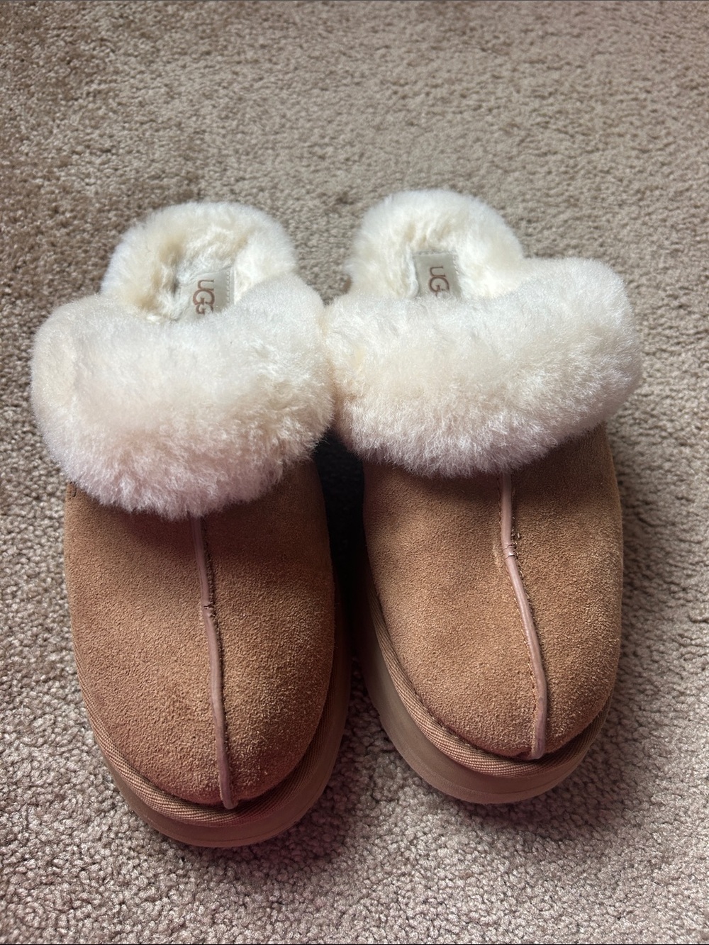 UGG Chestnut Suede Shearling Mule Slippers with Cream Collar